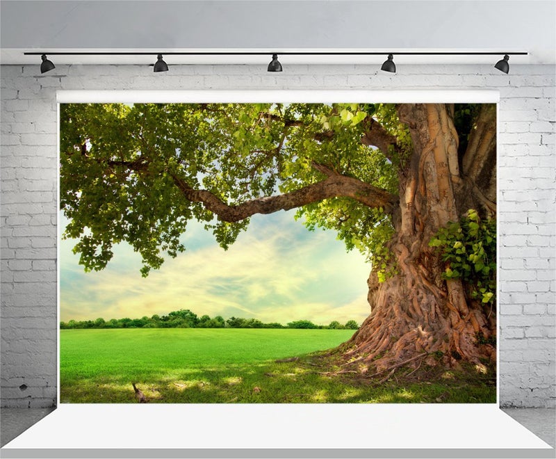 Yeele 9x6ft Spring Backdrop for Photography Spring Park Meadow Old Tree Background Outdoor Picnic Nature Scenery Kids Adult Photo Booth Shoot Vinyl Studio Props - Image 3